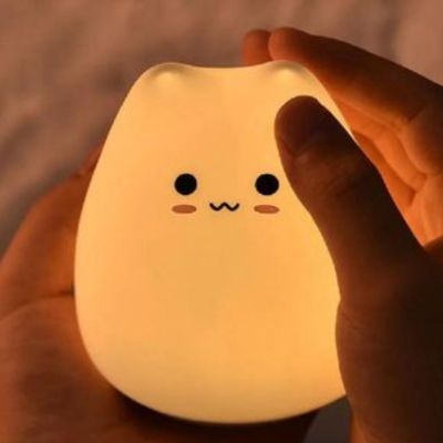 une-veilleuse-chaton-dans-les-mains-douce